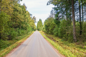 Long straight gravel road in a woodland