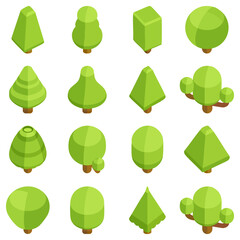 Collection of trees from above, with different shapes and sizes. Vector illustration