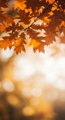 Fototapeta premium autumn leaves background