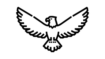 Eagle in flight with transparent background