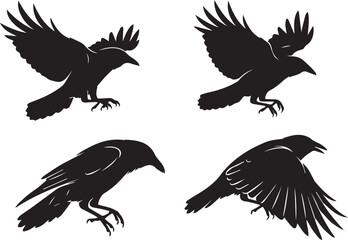 Obraz premium Four Silhouetted Ravens in Various Poses Depicting Flight Landing and Perching A Study in Contrasting Forms