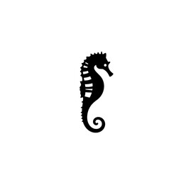 Single Seahorse Icon:  Solid Black Silhouette on White Background, Stylized Design