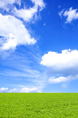 緑の草原と青空