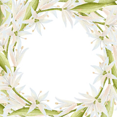 Romantic white flowers watercolor square frame illustration isolated on white. Simple wildflowers template with green leaves and copy space. Delicate floral sticker illustration for wedding designs
