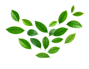 Abstract floating green leaves design isolated