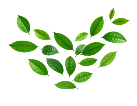 Abstract floating green leaves design isolated