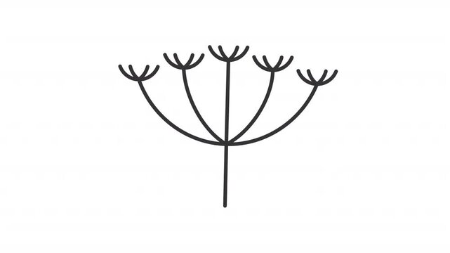 Animated queen anne lace line icon. Pollen allergen animation. Wild carrot flower. Allergic reaction. Allergy for plant. Outline element on white background. HD video with alpha channel