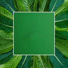 A green square framed by lush green leaves, forming a natural, vibrant frame. It represents the vitality of nature and the fresh beauty of the environment. 