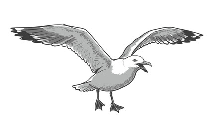 Obraz premium A grayscale sketch of a seagull in flight.