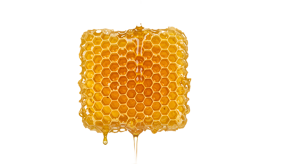 Natural Golden Honeycomb Dripping with Fresh, Delicious Honey