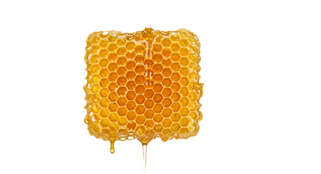 Natural Golden Honeycomb Dripping with Fresh, Delicious Honey