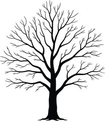 Silhouette of a bare tree with intricate branch patterns against a stark white background perfect for design elements and illustrative purposes adding a natural touch