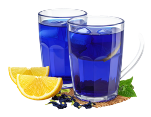 Creative stationery set with blue pencil case and colorful pencils