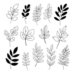 Hand drawn botanical leaves illustration set with minimalist floral design