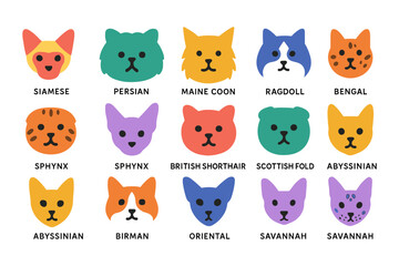 Obraz premium Simple flat style cat faces with various breeds in vibrant colors