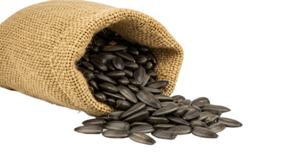 Raw Sunflower Seeds Spilling from a Burlap Sack on Brown Background