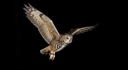 Fototapeta premium Majestic Owl in Flight, A Striking Portrait Against a Black Background