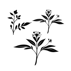 leaves and flowers silhouettes isolated with cartoon vector illustration on transparent background