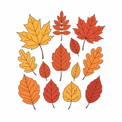 Obraz premium Collection of various autumn leaves in shades of orange, yellow, and red, arranged on a white background.