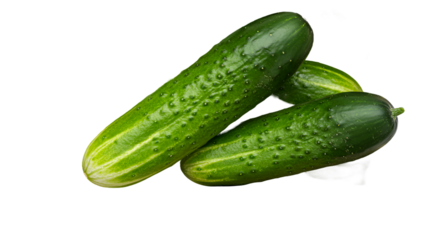 cucumber on white background