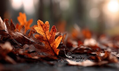 The colorful autumn leaves are gracefully falling from a tree in the wind