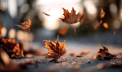 The colorful autumn leaves are gracefully falling from a tree in the wind