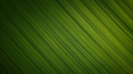 Macro Photograph of Vibrant Green Leaf Texture with Intricate Veins and Natural Foliage Pattern for Botanical Studies and Environmental Awareness Beautiful background