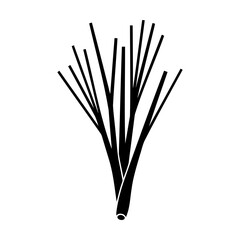 Lemongrass icon, black silhouette, aromatic herb,