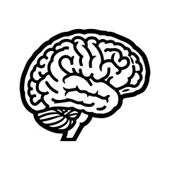 Human brain outline with transparent background