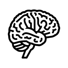 Human brain outline with transparent background