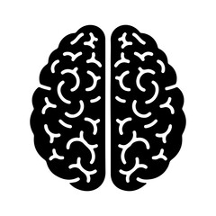 Human brain outline with transparent background