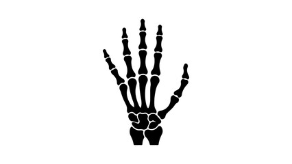 Human hand skeleton with transparent background