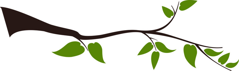 Fototapeta premium Tree Branch Plant 