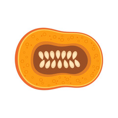 Halved butternut squash showing its orange flesh and seeds, a symbol of the autumn harvest for Thanksgiving.