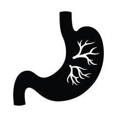 Stomach anatomy illustration for medical education and digestive health awareness resources online