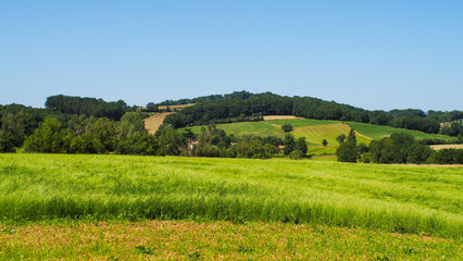 Département du Tarn-et-Garonne