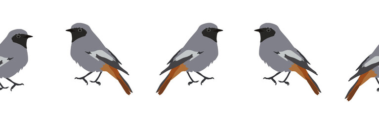 Bird con border. Bird feather silhouette symbol. Bird border isolated on a white background