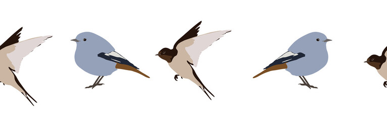 Bird con border. Bird feather silhouette symbol. Bird border isolated on a white background