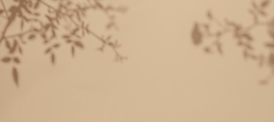 Minimalistic shadow of leaves on beige wall. Modern, abstract style, subtle tones. Background,...