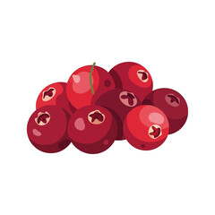 Pile of Fresh Cranberries with Smooth Red Skin