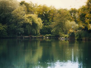 tranquil lake in the middle of a park
