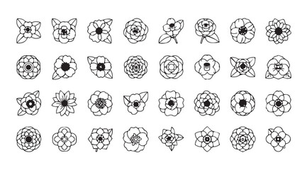 Collection of decorative floral elements and flower silhouettes for design