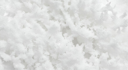 Fototapeta premium Intricate crystalline frost patterns emerge with delicate icy formations creating a serene winter abstraction