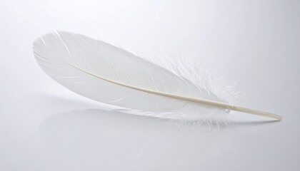 A single white feather against a plain light background