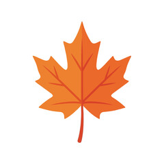 Simple Orange Maple Leaf Illustration on White Background