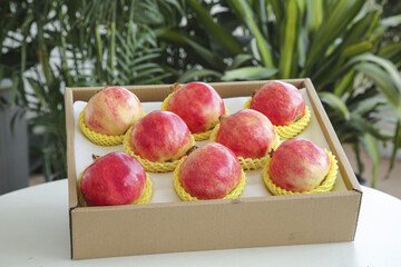Fresh Pomegranates in Cardboard Box with Protective Mesh Packaging