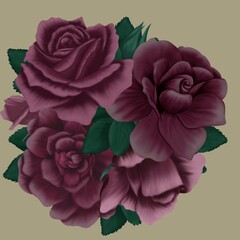illustration of a bouquet of roses on a light background