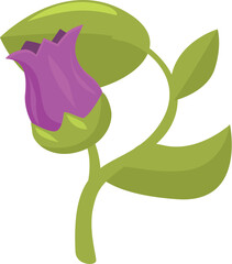 Purple flower with green leaves and stem growing, representing growth, nature, and beauty