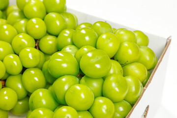 Fresh Green Olives in White Wooden Box with Natural Sunshine Lighting