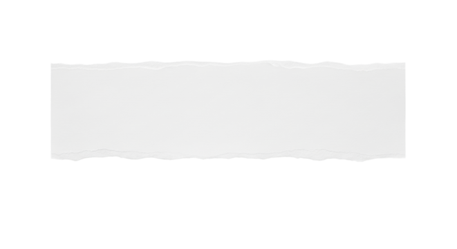 Blank white paper strip with rough torn edges, smooth surface, floating above transparent background with soft shadow in a studio. Concept of pristine simplicity